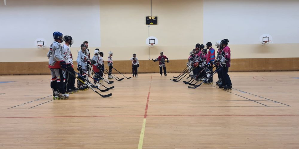 Rosewheels face aux Astronuts en hockey loisir